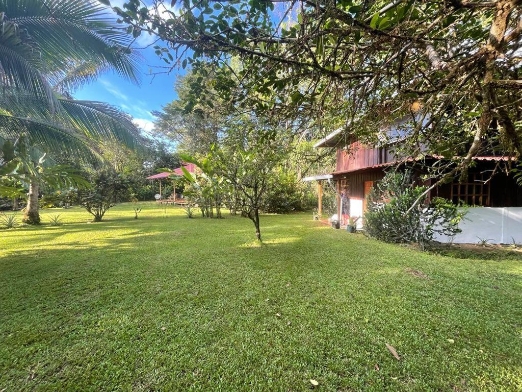 Corcovado Guest House Drake Bay Zewnętrze zdjęcie